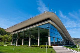 Taille et poids de boule de geisha : comment bien choisir ?